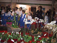2° Fiera Campionaria Saronno - La visita agli stand 10