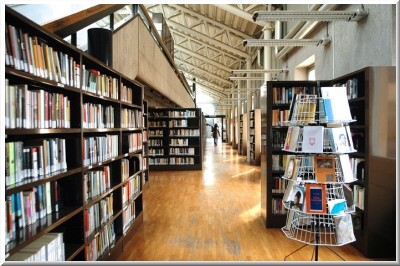 Biblioteca corridoio immagine