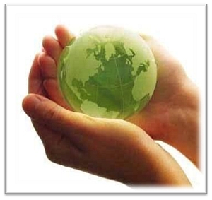 Attività di educazione ambientale