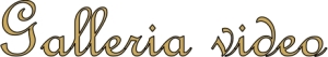 galleria video