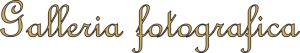 Galleria foto